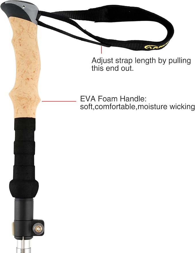 Aluminum Collapsible Ultralight Travel Trekking Hiking Pole for Men and Women (Fits 5'3" - 6'2")