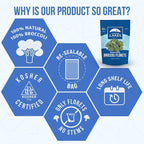 Thousand Lakes Freeze Dried Vegetables - Broccoli Florets 2-pack 1.2 ounces (2.4 ounces total) | 100% Florets - No Stems | No Salt Added