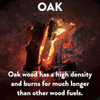 18 LB. Oak FireWood Log & Fatwood Fire Starter Sticks by Billy Buckskin Co., Firewood Fire Logs Great Firestarters for Outdoor Firepits, Fireplaces & Campfires, Seasoned Wood Logs for Outdoor Grilling