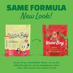 Waterboy Daily Hydration | 1,570mg Electrolyte Powder Packets | No Sugar, All Natural, Gluten Free, Zero Calories | 15 Drink Stick Mixes (Watermelon)