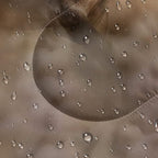 QOOMO Camping Sleeping Bags,3 Season Warm & Cool Weather,Lightweight,Waterproof Sleeping Bags for Adults & Kids,Traveling,and Outdoors,Camping Gear Equipment