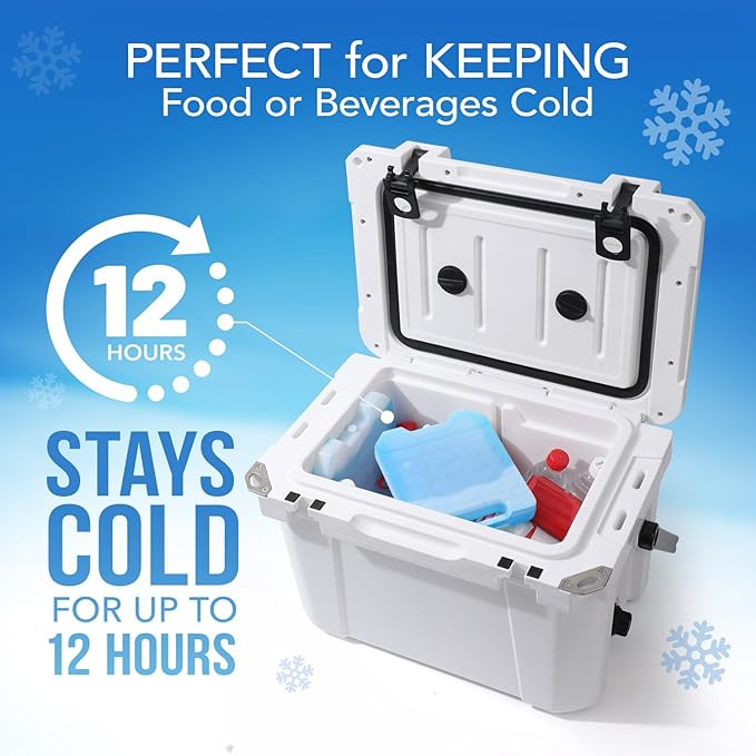 Everlasting Ice RX Large Reusable Ice Packs for Cooler with Handle (4 Pack) Long Lasting Coolness, BPA Free, Freezer Packs for Extended Cooling | Cooler Ice Packs for Camping, Fishing, Hiking, Beach