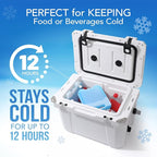 Everlasting Ice RX Large Reusable Ice Packs for Cooler with Handle (4 Pack) Long Lasting Coolness, BPA Free, Freezer Packs for Extended Cooling | Cooler Ice Packs for Camping, Fishing, Hiking, Beach