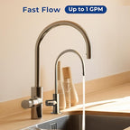 iSpring US31-BV Under Sink 3-Stage Water Filtration System for Drinking, Reduce Bacteria and Viruses, SGS-Tested Water Filter, High Capacity Water Filter System with Faucet