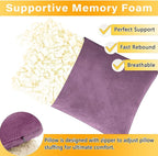 2 Pack Small Pillow, Memory Foam Mini Pillow 11 X 7 Inches for Travel, Sleeping, Nap and Neck, Knee, Lumbar Support, Tiny Cushion for Pet, Dogs (Dark Purple)