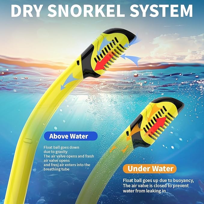 Snorkeling Gear for Adults, JRing Snorkel Mask Set with 180 Degree Tempered Glass Anti Fog Goggles Scuba Dry Top Snorkel for Swimming, Scuba Diving Mask for Men Women