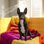 zzlamb Camping Blanket, Outdoor Lightweight Travel Blanket Puffy Portable Down Alternative, Windproof Warm Cloak with Snaps, Cozy Quilt Backpacking Picnic RV Plane Car Hammock Beach Climbing