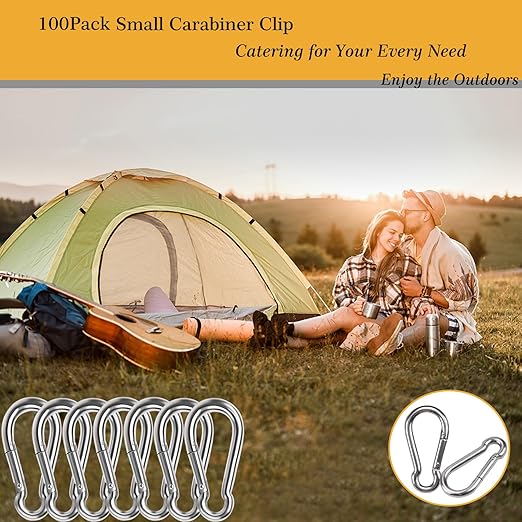 12PCS 2 Inch Small Carabiner Clip, Spring Snap Hook, Heavy Duty Galvanized Steel Keychain Carabiner, Locking Climbing Caribiners Clips for Gym, Plant Hanging, Outdoor Camping, Hiking, 200 lbs Capacity