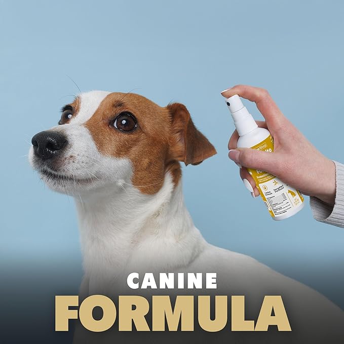 Mosquito Repellent Spray for Dogs, DEET-Free Travel-Size Bug Spray for Outdoor Protection, 3 oz