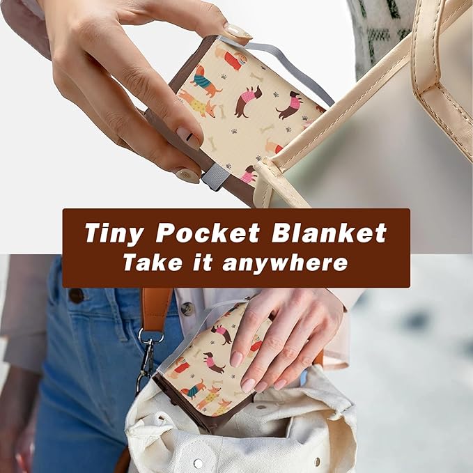 Picnic Blanket Waterproof – Packable Sand Proof Beach Blanket (0.42lb/0.66lb), Compact & Foldable, Fits in Pocket with Integrated Stakes, Ideal for Camping, Hiking, Travel, Concert, Festival