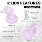 32oz Insulated Water Bottle, Fit in Any Car Cup Holder, Water Bottle with Straw Lids, Stainless Steel Insulated Water Flask Double Wall Leak-proof BPA Free to Keep Cold&Hot