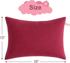 BEDSUM 2 Pack Microfiber Pillows, 13"x18" for Travel, Pets, Soft and Machine Washable, Small for Neck, Wrist, and Knee Comfort, Red