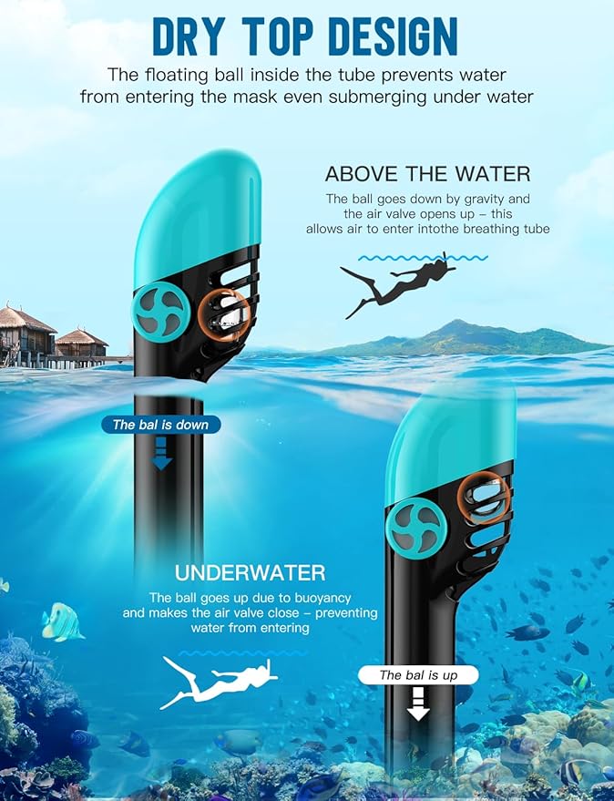 Zenoplige Full Face Snorkel Mask Adults,Dry-Top Snorkeling Gear with Camera Mount,Foldable 180-Degree Panoramic Scuba Mask for Snorkeling Diving Swimming Travel,Snorkel Mask Anti-Fog & Anti-Leak