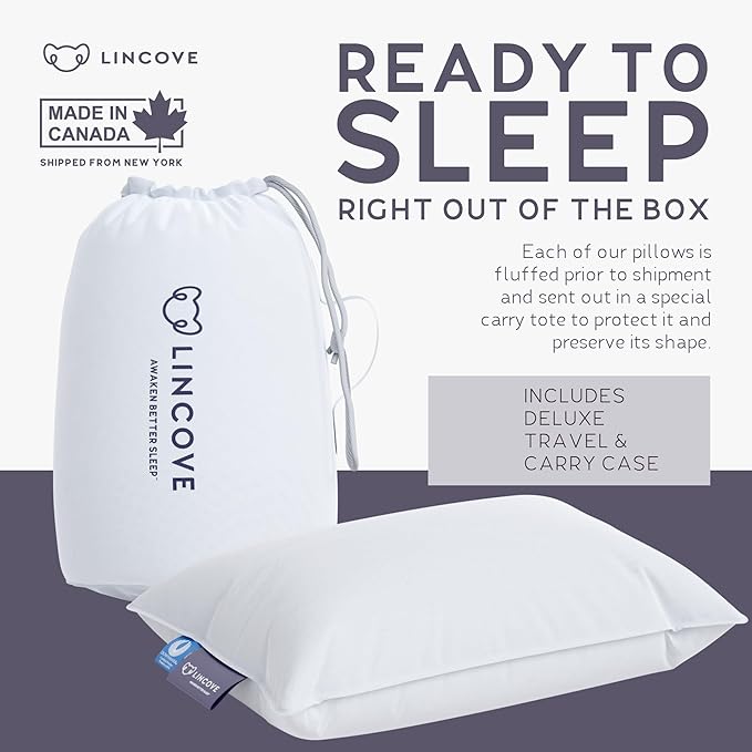 Lincove Canadian Down Feather Travel Pillow Pack of 2 - Luxury Pillows to Support Head, Neck, While Sleeping on Airplanes, Cars, Hotels & Home - Comfortable Vacation Sleeping Essential, 13"x18"