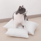 NTBAY Tiny Pillows, Down Alternative 7"x11" 100% Microfiber, Filler: 100% Polyester Mini Pillow for Travel, Pets, Soft Machine Washable Small Pillows for Neck, Wrist, Lumbar and Knee, Dark Brown