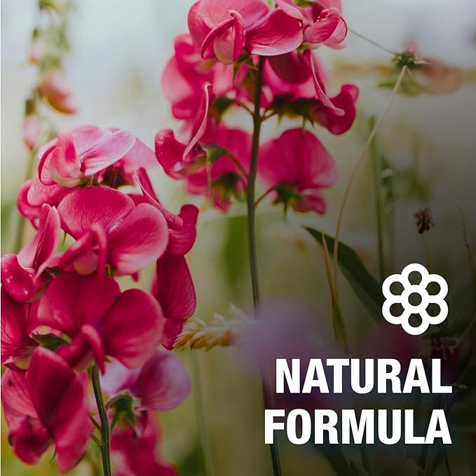 CoreTex Bug X FR DEET-Free Insect Repellent Wipes - Pack of 50 Single-Use, Naturally Derived Geranium Oil Bug Wipes - Protects Against Flies, Fleas & Mosquitoes - Travel Mosquito Repellent Towelettes