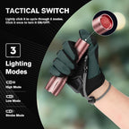 RECHOO LED Flashlight 2 Pack Pink, Tactical Flashlights High Lumens with 3 Modes, Pocket Small Flash Light, Waterproof Zoomable Flashlights for Home Emergency, Camping Essentials (Battery Included)