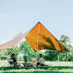 SANLIKE Telescoping Tarp Pole Heavy Duty Tent Poles, 33"-86.6"/94" Thickened Tube Collapsible Stainless Steel Canopy Poles for Camping Backpacking Hiking Awning Sun Sails Outdoor Sports, Set of 2