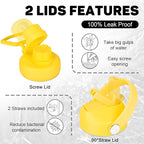 32oz Insulated Water Bottle, Fit in Any Car Cup Holder, Water Bottle with Straw Lids, Stainless Steel Insulated Water Flask Double Wall Leak-proof BPA Free to Keep Cold&Hot