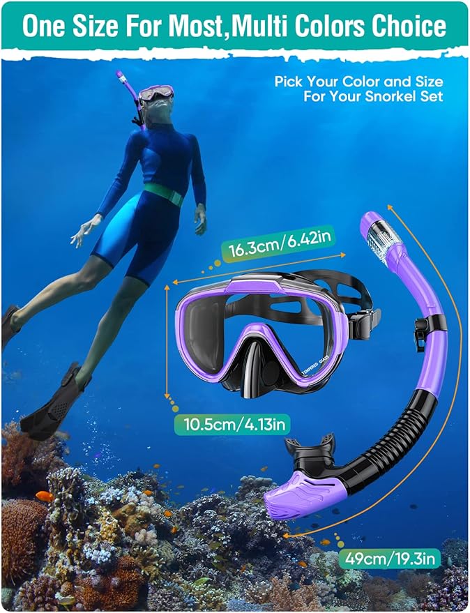 Snorkel Set Adults Snorkeling Gear Anti-Fog Panoramic View Swim Mask Dry Top Snorkel Kit with Carry Bag for Snorkeling Scuba Diving Swimming Travel