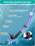 Snorkel Set Adults Snorkeling Gear Anti-Fog Panoramic View Swim Mask Dry Top Snorkel Kit with Carry Bag for Snorkeling Scuba Diving Swimming Travel