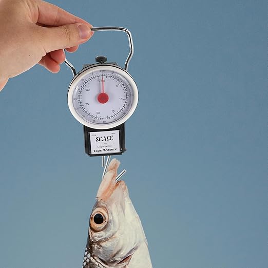 Portable Luggage Scale Handheld Weight Scale with Hook 35kg Capacity for Travel and Suitcase Weighing