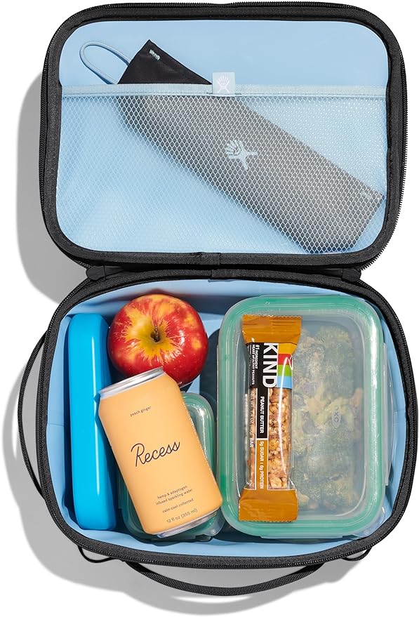 Hydro Flask Carry Out Lunch Box – Insulated Adult Lunch Cooler for Men and Women 5 L Beachplum Black
