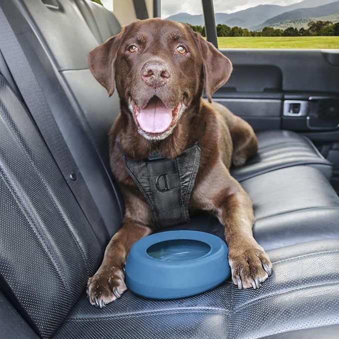 Kurgo Splash Free Wander Water Bowl, No Spill Dog Travel Bowl, Portable No Mess Bowl for Dogs, Splash Less Car Bowl for Pets, Car Accessories, 24 Ounces (Coastal Blue)