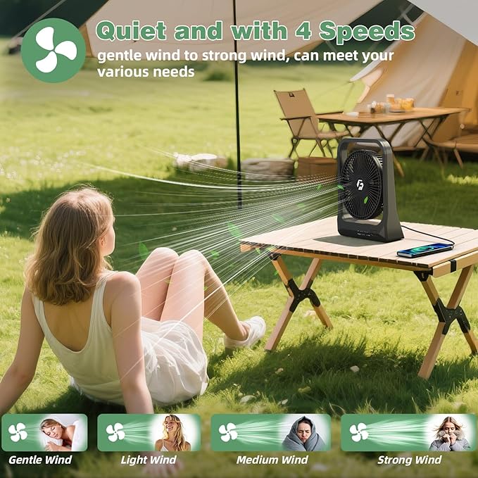 8-inch USB Portable Fan - 20800mAh Rechargeable Battery Operated Fan (80Hrs work time) - Personal Desk Fans - Battery Powered Fans use for Bedroom, Desktop, Table, Office, Camping, and Outdoor