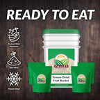 Freeze Dried Fruit Bucket, 12 Pouch | Premium Emergency Food Supply | Non-GMO Survival Food 25 Year Shelf Life | Camping Food, Backpacking Meals, Prepper Supplies | Valley Food Storage Packaged in USA