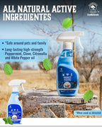 All Natural Bug Spray for Home - Non-Toxic Peppermint Oil Insect and Pest Control Kit - 8 oz Ready-to-Use Bug Spray - Indoor and Outdoor Protection- Ant Spray - Spider Repellent Indoor