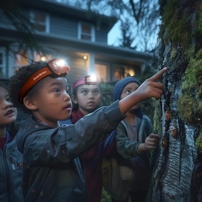 EverBrite Headlamp, 5 Pack Kids Headlamp with Red Light and Memory Function, Head Lamp for Adults and Kids with 5 Modes, Bright Headlamps for Camping, Running, Batteries Included