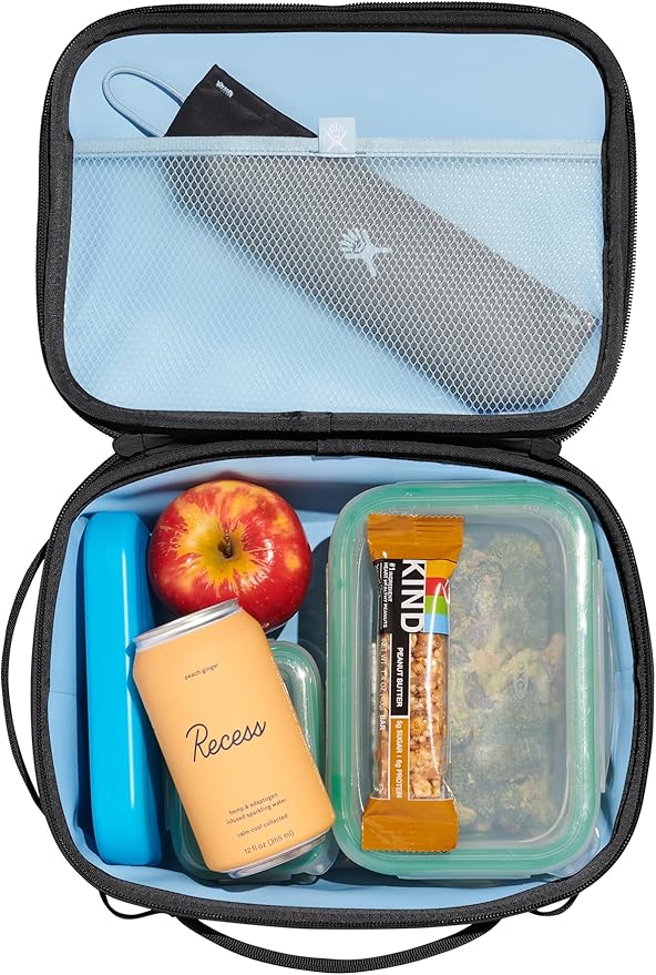 Hydro Flask Carry Out Lunch Box – Insulated Adult Lunch Cooler for Men and Women 5 L Beachplum Black