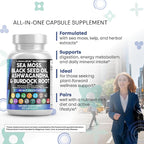 Clean Nutraceuticals Sea Moss Black Seed Oil Ashwagandha Turmeric Bladderwrack Burdock & Vitamin C Vitamin D3 with Elderberry Manuka Dandelion Yellow Dock Iodine Chlorophyll ACV