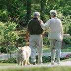 ALEVMOOM Upgraded Nylon Collapsible Stool with 500lbs Max Weight Portable Retractable Folding Telescoping Stools for Adults Chair for Outdoor Camping Fishing Hiking BBQ(Nylon Black)