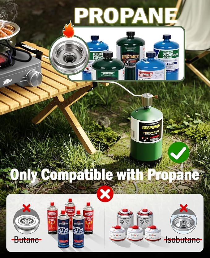 2 Propane Burners Camping Stove, 30,000 BTU Folding Camp Stove with Windproof Grates and Frying Pan,Portable Camping Stoves with Carrying Bag,Camping Essentials for Tailgating/Grilling/Coffee,Titanium