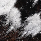 Sleeping Bags for Adults and Kids，3D Printing Camping Sleeping Bag for Girls Boys Lightweight Waterproof Cold/Warm 3-Season，Outdoor Travel with Compression Bags