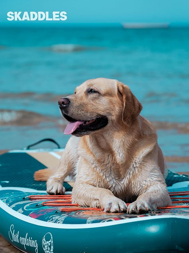 10’6’’ Portable Inflatable Stand Up Paddle Board (SUP) for Adults and Youth with Non-Slip Deck – Complete Accessories Kit, Perfect for Fishing, Yoga, Fitness & Family Fun