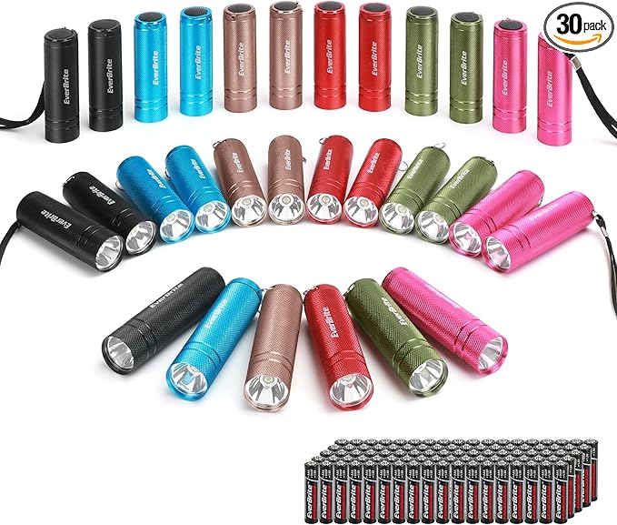 EverBrite 30-Pack Mini Flashlight Set, Aluminum LED Handheld Torches with Lanyard, Assorted Colors, Batteries Included for Party Favors, Night Reading, Camping, Power Outage, Gift to Christmas