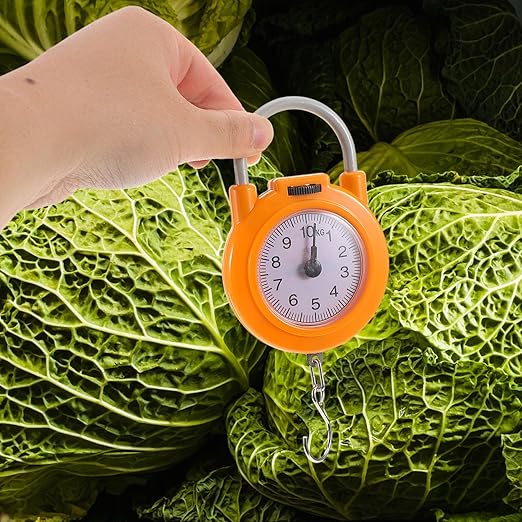 Portable Luggage Scale with High Precision Spring Hook, Compact Small Electronic Hanging Scale for Travel and Fishing Weighing