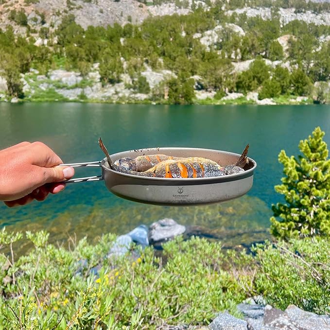 Camping Plate Titanium Pan Dish Plate with Handle & Mesh Bag, Large Reuseable Ultralight Dinner Plate for Camping Outdoors Backpacking (1000ML)
