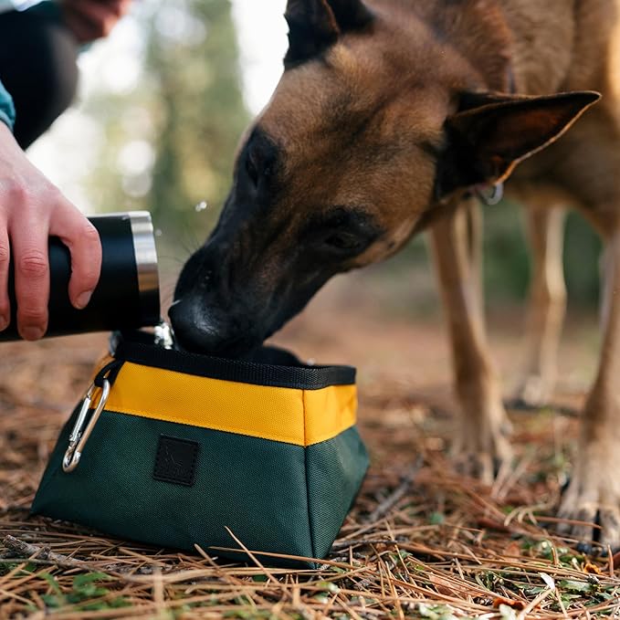P.L.A.Y. Landscape Series Collapsible Dog Water & Food Bowl - Great Dogs, Travel, On-the-go, Hiking, Outdoors - Portable, Folds Flat, Waterproof, Easy Clean, 2.3L Capacity (Moss)