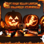 EverBrite 6-Pack LED Flashlights Halloween Gifts, Mini Flash Lights Handheld Torch with Lanyard, 18 AAA Batteries Included, Mixed Color