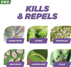 Earth's Ally Pro 3-in-1 Plant Spray 2.5 gal Super Concentrate | Insecticide, Fungicide & Spider Mite Control, Use on Indoor Houseplants and Outdoor Plants, Gardens & Trees - Insect & Pest Repellent