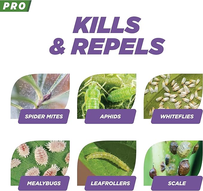 Earth's Ally Pro 3-in-1 Plant Spray 2.5 gal Super Concentrate | Insecticide, Fungicide & Spider Mite Control, Use on Indoor Houseplants and Outdoor Plants, Gardens & Trees - Insect & Pest Repellent