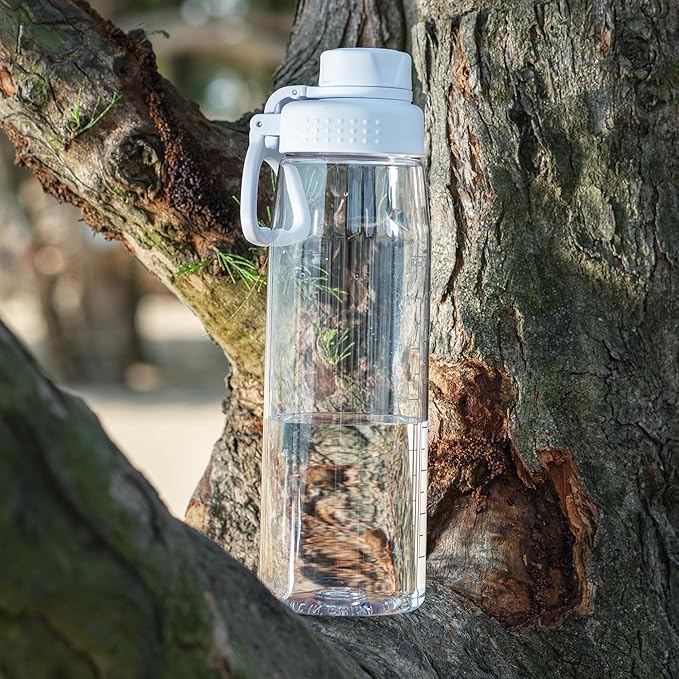 Water Bottle 32oz, clear water bottle with Spout Lid and Carry Handle, Reusable, Tritan, BPA Free, Hiking Water Bottle Suitable for Travel, Outdoors, Gym, Travel, Home, School (Clear)