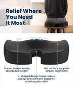 Everlasting Comfort Doctor Recommended Memory Foam Seat Cushion for Office Chairs & Car - Ergonomic Office Desk Accessories - Cushions for Tailbone Pain Relief, Sciatica (Black, Large)