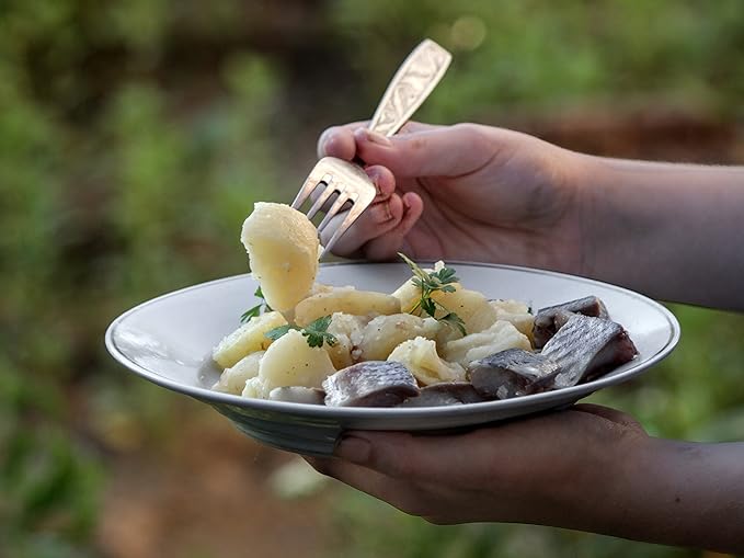 Stainless Steel Plate Set - 8.5 inch Ultra-Portable Dinnerware Set BPA Free Plates for Outdoor Camping | Hiking | Picnic | BBQ | Beach