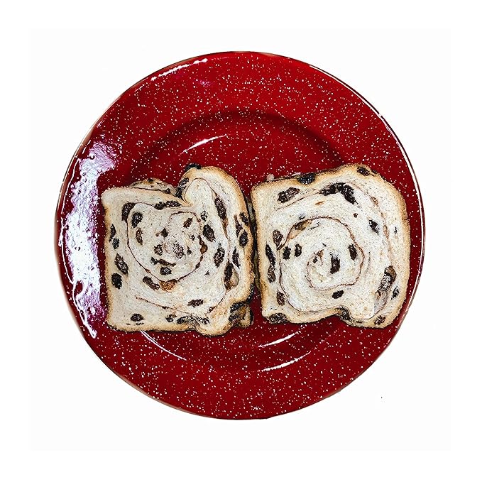 Freeze Dried Cinnamon Raisin Bread Can | Jarred and Packed Emergency Food Supply | Hunting, Survival, Camping, Backpacking Long Term Food Storage 25+ years shelf life | Easy Prep Survival Food 10 Size Cans (Cinnamon Raisin Bread)