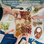 Evanda Travel Utensils Set for 6, Reusable Plastic Knife Fork Spoon Snapped Together for Easy Portability and Save Space, Silverware Cutlery Utensils Set for Work, Camping, Picnic, Gadgets, Lunch Box